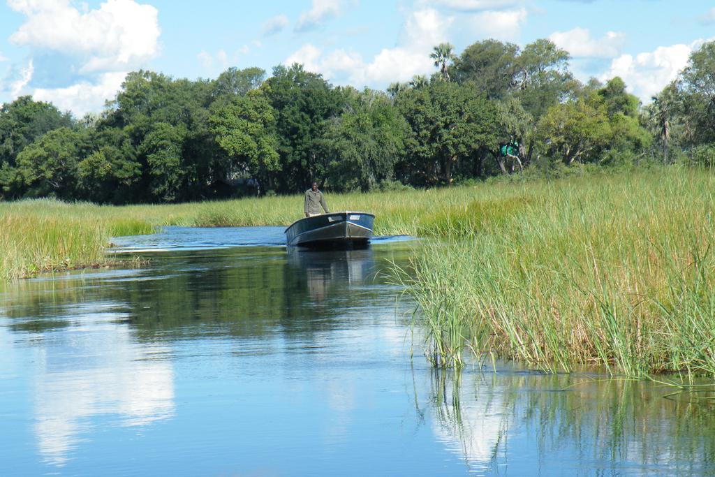 Royal Tree Lodge Maun Exterior foto