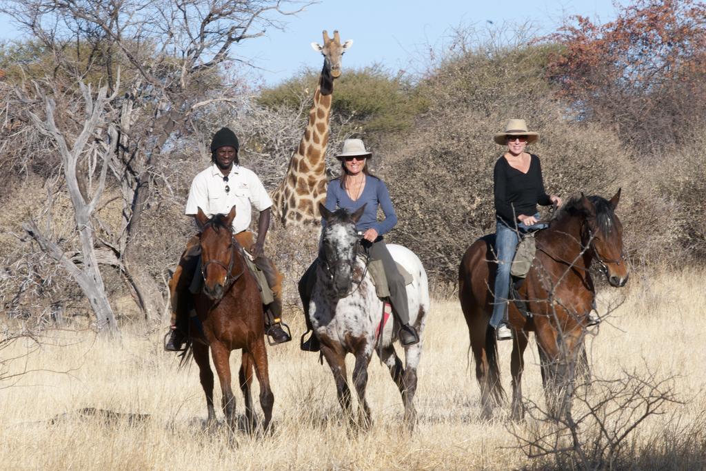 Royal Tree Lodge Maun Exterior foto