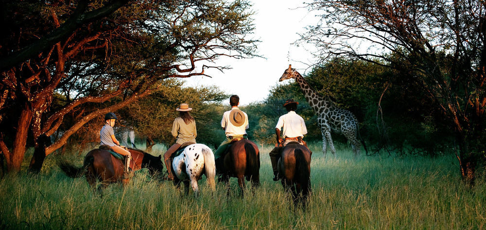 Royal Tree Lodge Maun Exterior foto